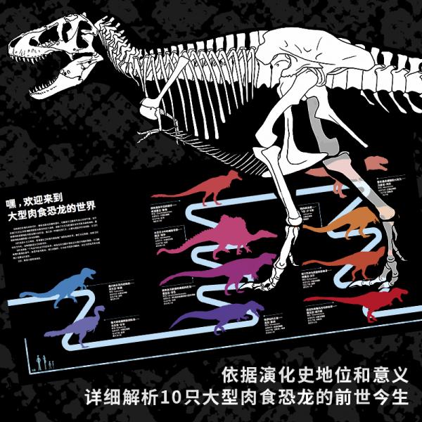 恐龙博物馆:大型肉食恐龙