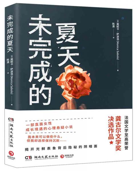 未完成的夏天