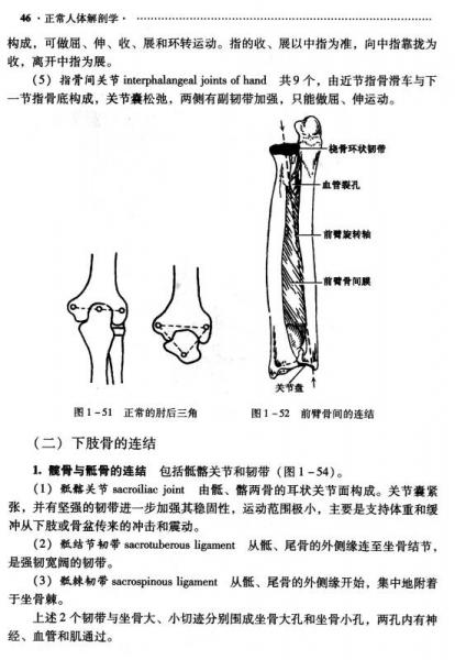 正常人体解剖学