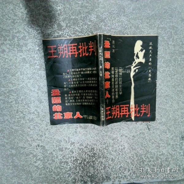 王朔再批判