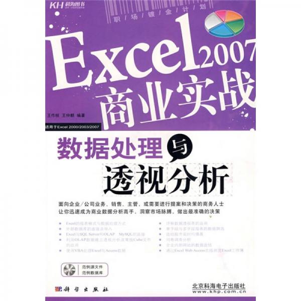 Excel2007商业实战数据处理与透视分析