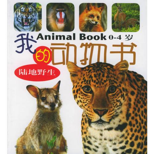 我的动物书（全四册）（注音版）