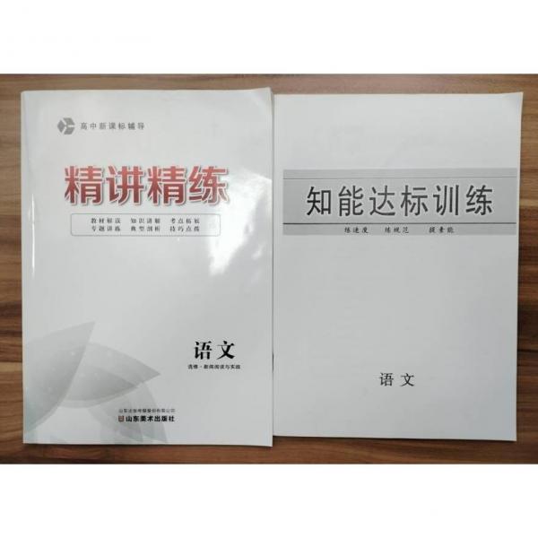 高中新課標(biāo)輔導(dǎo) 精講精練 