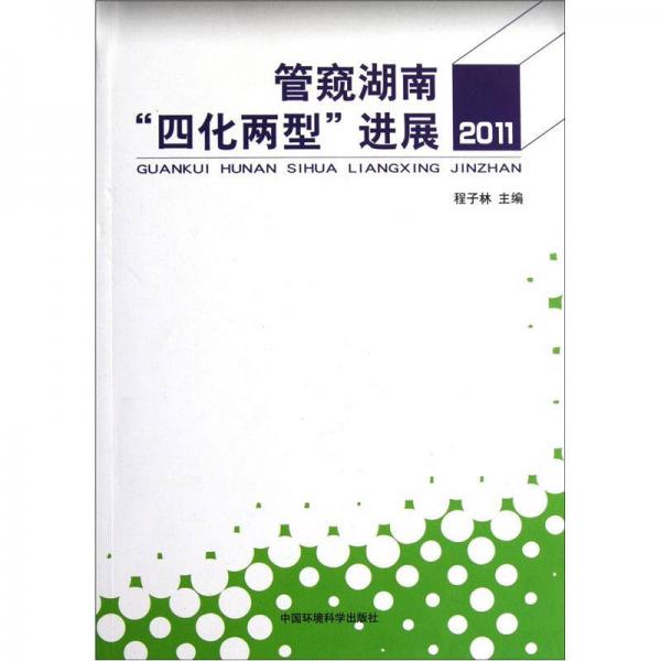 管窺湖南四化兩型進展2011