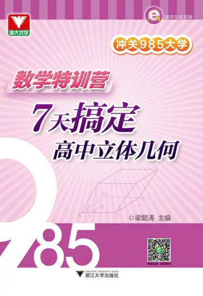 冲关985大学 数学特训营:7天搞定高中立体几何