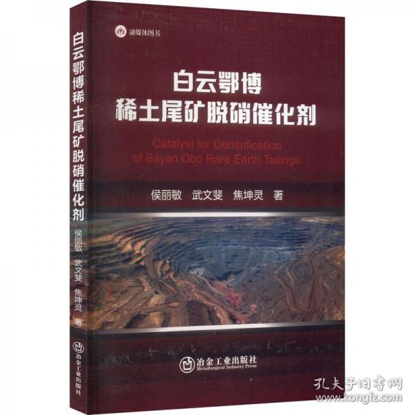 白云鄂博稀土尾礦脫硝催化劑