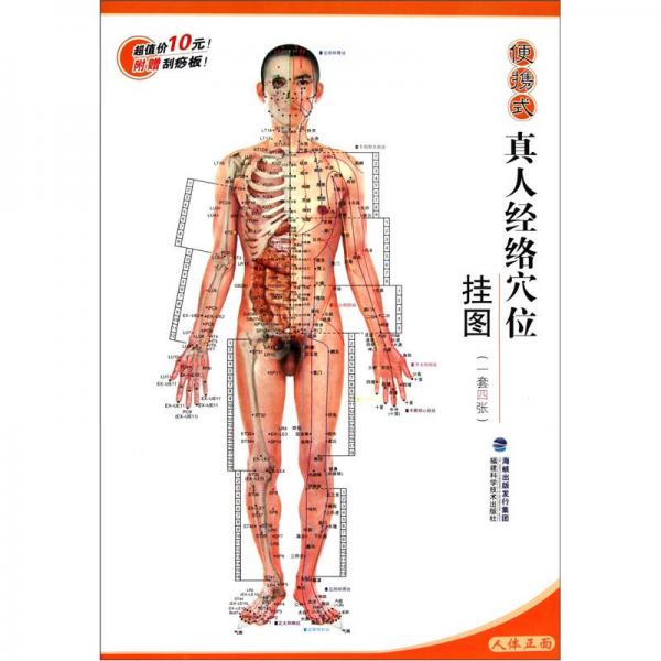 便攜式真人經(jīng)絡(luò)穴位掛圖