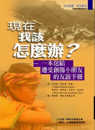 現(xiàn)在——我該怎么辦