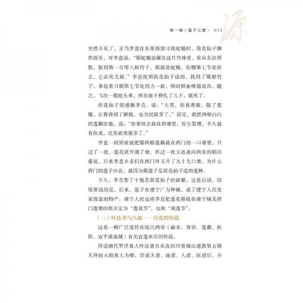 探秘蓮子