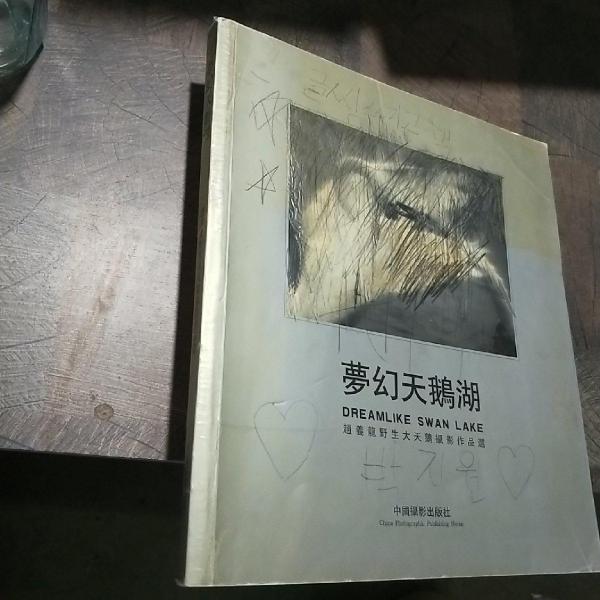 夢(mèng)幻天鵝湖:趙義龍野生大天鵝攝影作品選