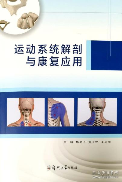 运动系统解剖与康复应用