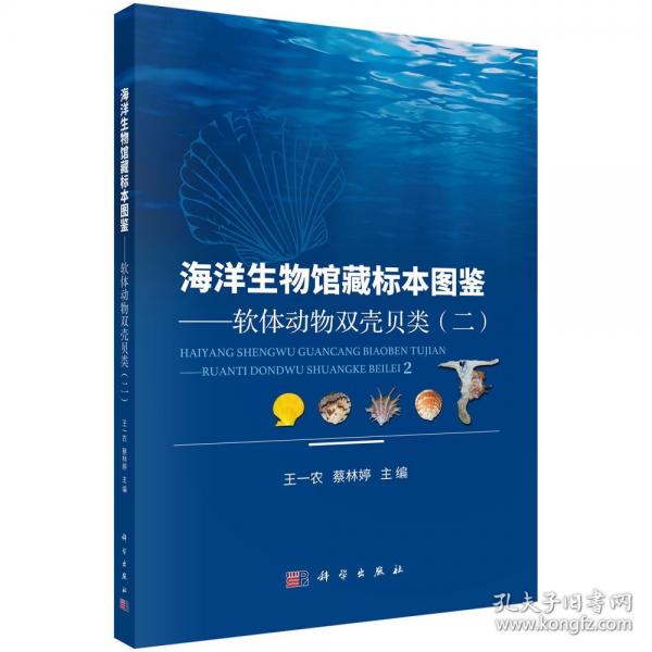 海洋生物館藏標(biāo)本圖鑒——軟體動(dòng)物雙殼貝類(二)