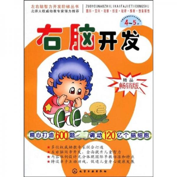 左右腦智力開發(fā)階梯叢書：右腦開發(fā)