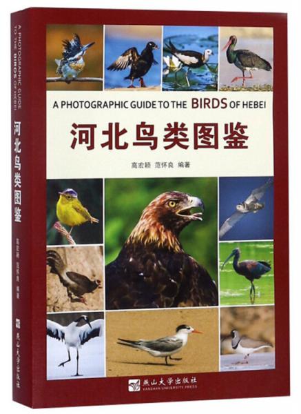 河北鳥類圖鑒