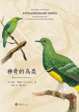 神奇的鳥(niǎo)類(lèi)
