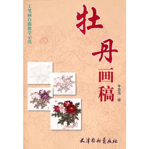 牡丹畫稿