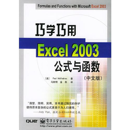 巧學(xué)巧用Excel 2003公式與函數(shù)（中文版）