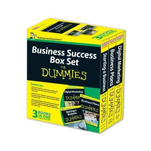 Business Success Box Set for Dummies