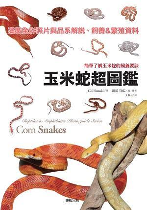 玉米蛇超圖鑑:簡單了解玉米蛇的飼養(yǎng)要訣