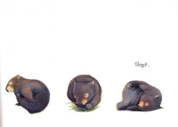 Diary of a Wombat