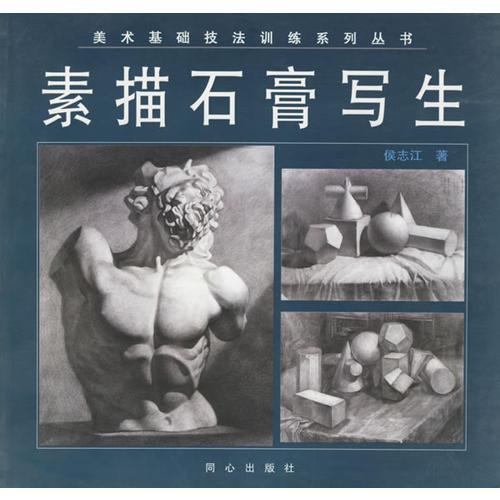 素描石膏寫生/美術(shù)基礎(chǔ)技法訓(xùn)練系列叢書
