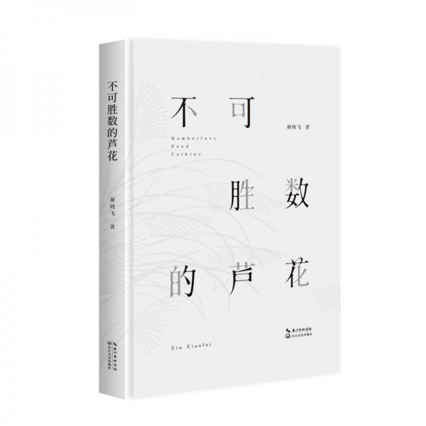 不可勝數(shù)的蘆花