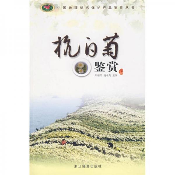 杭白菊鑒賞