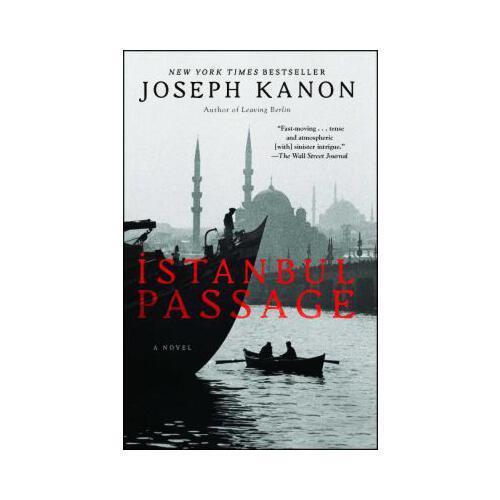 Istanbul Passage  A Novel