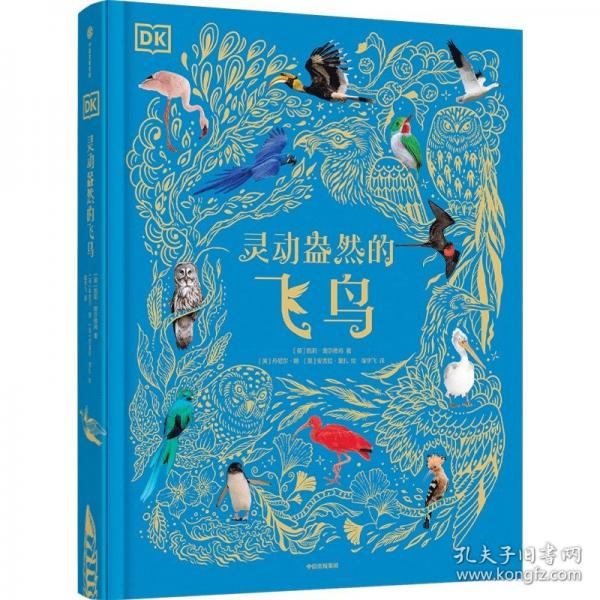 DK靈動(dòng)盎然的飛鳥(niǎo)