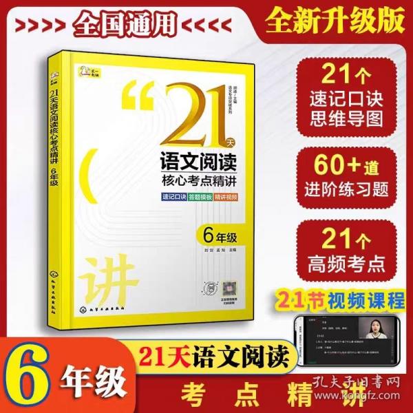 语文专项突破系列--21天语文阅读核心考点精讲 6年级