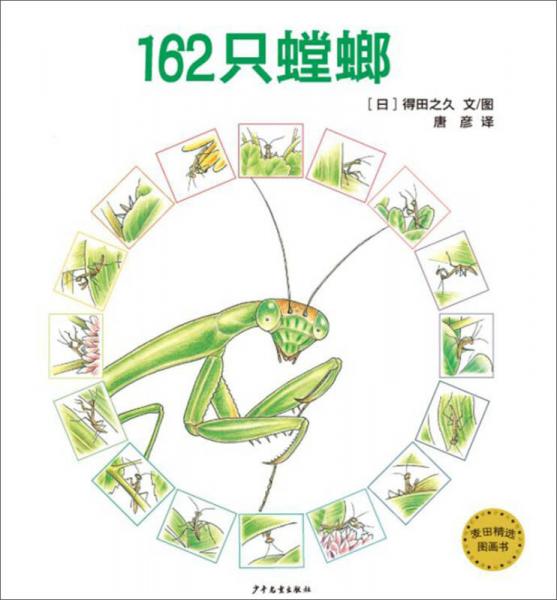 麥田精選圖畫書 162只螳螂
