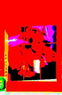 怎樣養(yǎng)育健壯的孩子