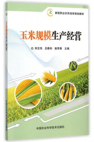 玉米規(guī)模生產(chǎn)經(jīng)營(yíng)