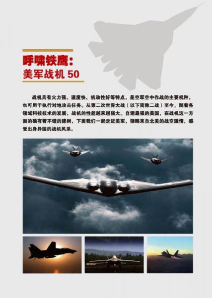 呼啸铁鹰：美军战机50