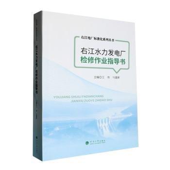 右江水力發(fā)電廠檢修作業(yè)指導(dǎo)書/右江電廠標(biāo)準(zhǔn)化系列叢書