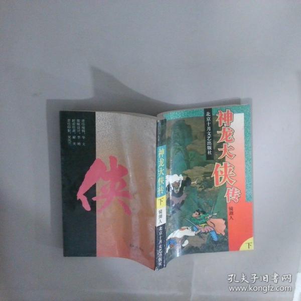 神龍大俠傳