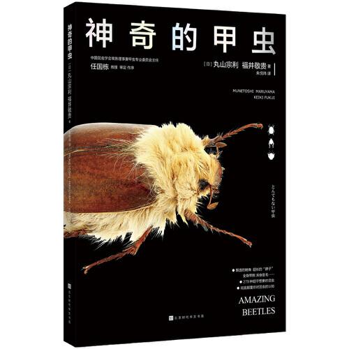 神奇的甲蟲