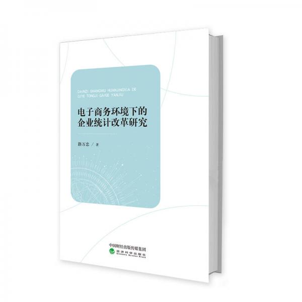 電子商務(wù)環(huán)境下的企業(yè)統(tǒng)計(jì)改革研究