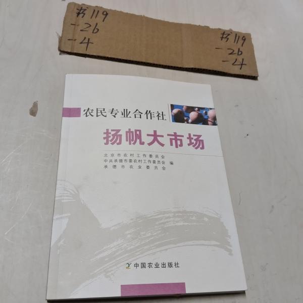 農(nóng)民專業(yè)合作社 揚(yáng)帆大市場