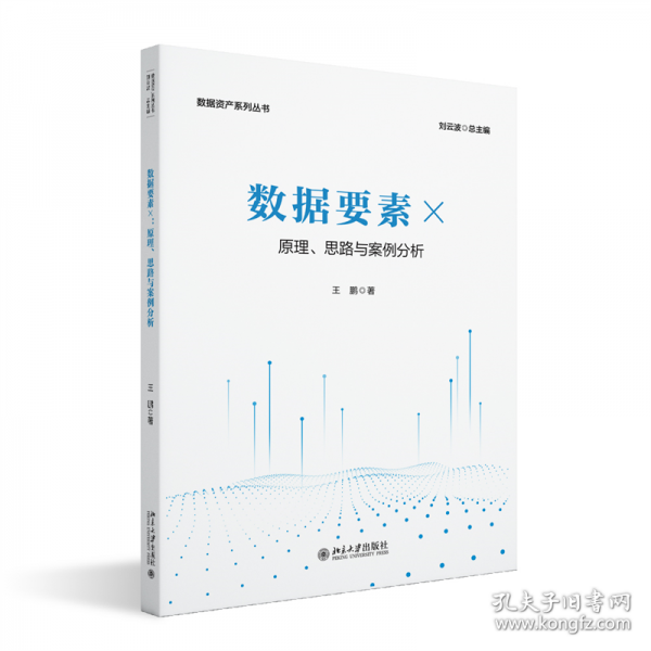 數(shù)據(jù)要素×：原理、思路與案例分析 數(shù)據(jù)資產(chǎn)系列叢書