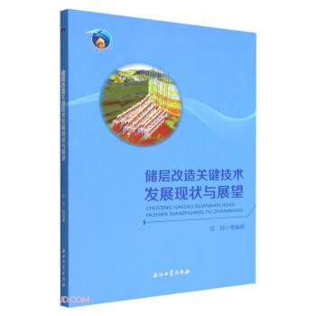 儲層改造關(guān)鍵技術(shù)發(fā)展現(xiàn)狀與展望