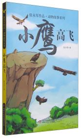 小鹰高飞