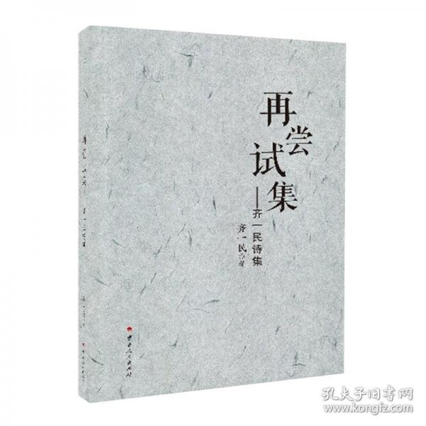 再尝试集——齐一民诗集