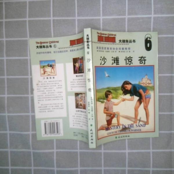 沙灘驚奇
