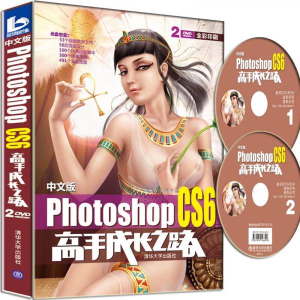 中文版Photoshop CS6高手成长之路