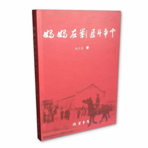 媽媽在剿匪斗爭中