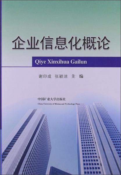 企業(yè)信息化概論