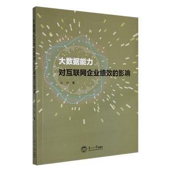 大数据能力对互联网企业绩效的影响