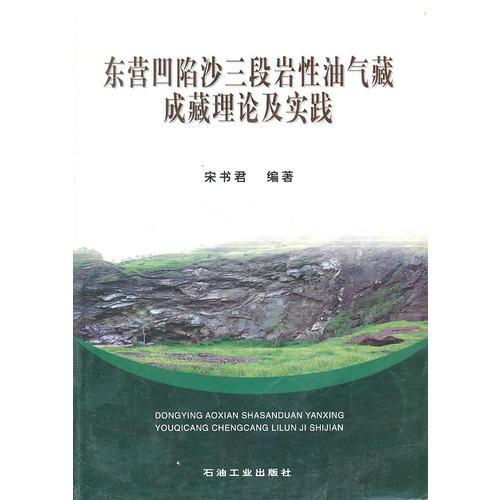 东营凹陷沙三段岩性油气藏成藏理论及实践