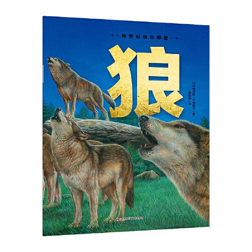神奇動(dòng)物在哪里-狼